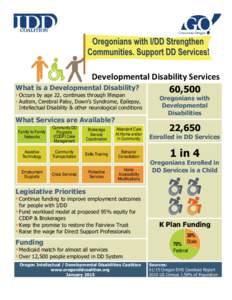 Developmental Disability Services What is a Developmental Disability? 60,500  Occurs by age 22, continues through lifespan  Autism, Cerebral Palsy, Down’s Syndrome, Epilepsy, Intellectual Disability & other neuro