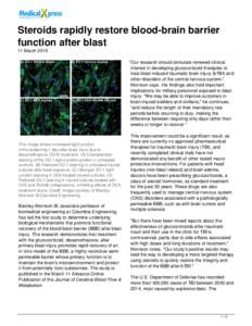 Steroids rapidly restore blood-brain barrier function after blast