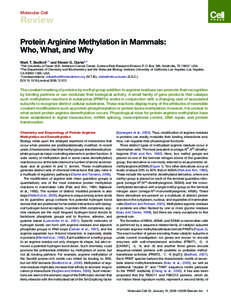 Protein Arginine Methylation in Mammals: Who, What, and Why