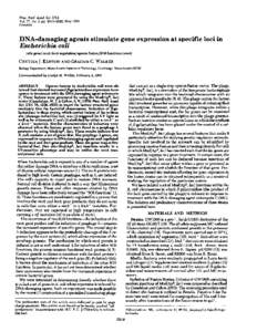 Proc. Natl. Acad. S6. USA Vol. 77, No. 5, pp, May 1980 Genetics DNA-damaging agents stimulate gene expression at specific loci in Escherichia coli