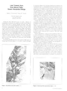 Late Triassic flora from Mount Falla, Queen Alexandra Range EDITH  L. TAYLOR and THOMAS N. TAYLOR
