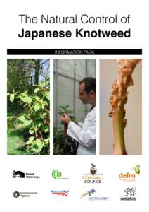 The Natural Control of Japanese Knotweed Information Pack The Natural Control of Japanese Knotweed