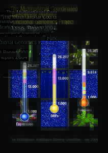 The Multinational Coordinated Arabidopsis thaliana Functional Genomics Project Annual Report