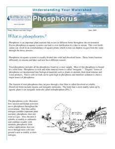 Understanding Your Watershed  Phosphorus NR/WQNancy Mesner and John Geiger