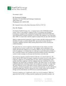 November 4, 2013 Ms. Elizabeth M. Murphy Secretary, U.S. Securities and Exchange Commission 100 F Street, N.E. Washington, D.CRe: Comment Letter on Pay Ratio Disclosure (File No. S7-07-13)