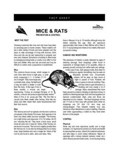 Mice and Rats - Prevention and Control
