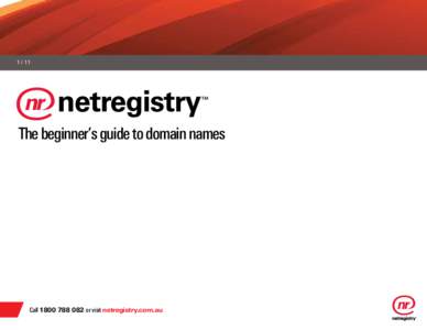 [removed]The beginner’s guide to domain names Call[removed]or visit netregistry.com.au