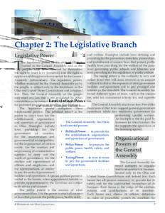 Chapter 2: The Legislative Branch Legislative Power and welfare. Examples include laws defining and providing for the prevention, detection, prosecution, and punishment of crimes; laws that protect public