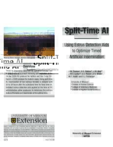 Split-Time AI Using Estrus Detection Aids to Optimize Timed Artificial Insemination  Photo by Shawn Dunagan, Montana Stockgrowers Association
