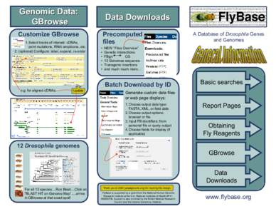 Genomic Data: GBrowse Data Downloads Precomputed files