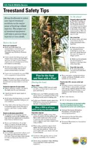 U.S. Fish & Wildlife Service  Treestand Safety Tips In the stand  Many Southeastern states