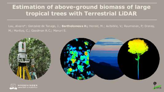 Estimation of above-ground biomass of large tropical trees with Terrestrial LiDAR Lau, Alvaro*; Gonzalez de Tanago, J.; Bartholomeus H.; Herold, M.; Avitabile, V.; Raumonen, P; Disney, M.; Martius, C.; Goodman R.C.; Manu