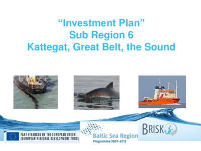“Investment Plan” Sub Region 6 Kattegat, Great Belt, the Sound Characteristics •