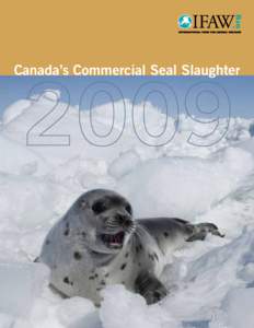 Canada’s Commercial Seal Slaughter  [ 1] Canada’s Commercial Seal Slaughter 2009 Text: Sheryl Fink