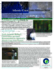 Atlantic Coast Joint Venture News Partners working together for the conservation of native bird species in the Atlantic Flyway region of the United States. WinterCoastal Wetlands Grants Awarded