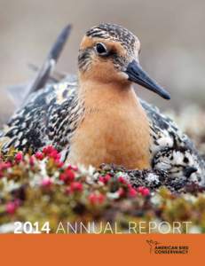 2014 ANNUAL REPORT  American Bird Conservancy is the Western Hemisphere’s bird conservation specialist — the only organization with a single and steadfast commitment to achieving conservation results for birds and t