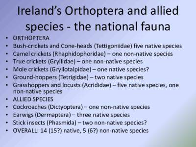 Ireland’s Orthoptera and allied species - the national fauna • • • •