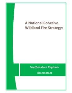     A National Cohesive  Wildland Fire Strategy:  