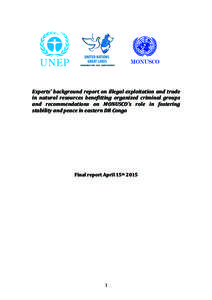 Ituri conflict / Second Congo War / United Nations Organization Stabilization Mission in the Democratic Republic of the Congo / Democratic Forces for the Liberation of Rwanda / United Nations Office on Drugs and Crime / Mining industry of the Democratic Republic of the Congo / Democratic Republic of the Congo / United Nations / Africa