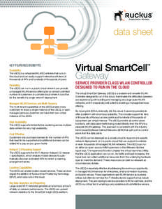 data sheet  Virtual SmartCell Virtual SmartCell ™ Gateway