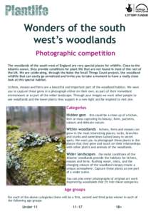 Wonders of the south west’s woodlands Photographic competition The woodlands of the south west of England are very special places for wildlife. Close to the Atlantic ocean, they provide conditions for plant life that a
