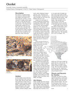 Laguna Atascosa National Wildlife Refuge / Ocelot / Santa Ana National Wildlife Refuge / Bentsen-Rio Grande Valley State Park / National Wildlife Refuge / Rio Grande Valley Ocelots FC / Geography of Texas / Texas / Zoology