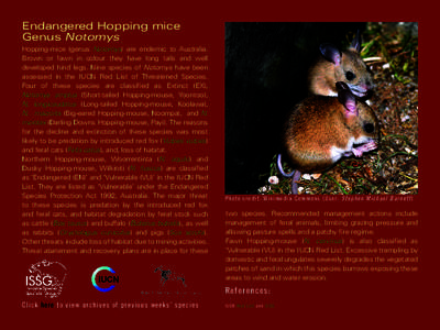 Endangered Hopping mice Genus Notomys Hopping-mice (genus Notomys) are endemic to Australia. Brown or fawn in colour they have long tails and well developed hind legs. Nine species of Notomys have been assessed in the IU