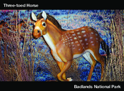 Three-toed Horse  Badlands National Park Three-toed Horse Scientific name: Mesohippus