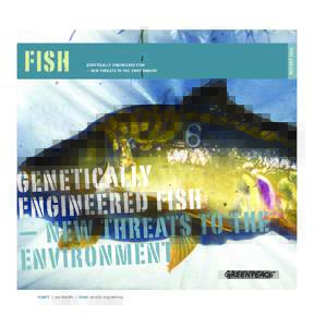 GENETICALLY ENGINEERED FISH  – NEW THREATS TO THE ENVIRONMENT