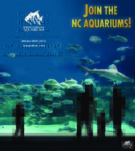 FISHncaquariums.com 