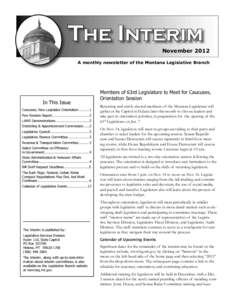 2012 November interim newsletter.indd