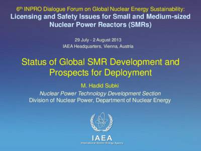 6th INPRO Dialogue Forum on Global Nuclear Energy Sustainability:  Licensing and Safety Issues for Small and Medium-sized Nuclear Power Reactors (SMRs) 29 July - 2 August 2013 IAEA Headquarters, Vienna, Austria