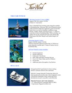 Diving equipment / Free-diving / Snorkeling / Swimming / Manta ray / Kealakekua Bay / Manta / Recreation / Submarine snorkel / Water / Fish / Underwater diving
