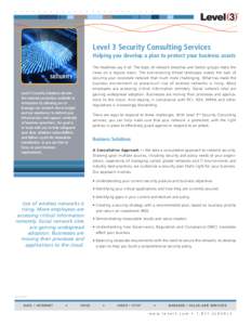Level 3 Security Consulting Services Helping you develop a plan to protect your business assets The headlines say it all. The topic of network breaches and hacker groups make the news on a regular basis. The ever-evolvin