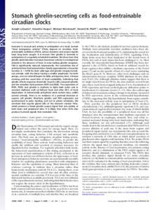 Stomach ghrelin-secreting cells as food-entrainable circadian clocks Joseph LeSautera, Nawshin Hoquea, Michael Weintraubb, Donald W. Pfaffc,1, and Rae Silvera,b,d,1 aDepartment  of Psychology, Barnard College, 3009 Broad