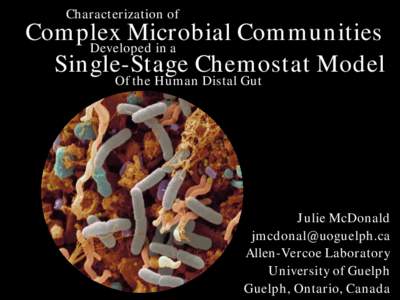 Characterization of  Complex Microbial Communities Developed in a Single-Stage Chemostat Model Of the Human Distal Gut