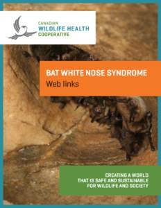 BAT WHITE NOSE SYNDROME Web links CREATING A WORLD THAT IS SAFE AND SUSTAINABLE FOR WILDLIFE AND SOCIETY