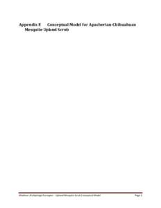 Appendix E Conceptual Model for Apacherian-Chihuahuan Mesquite Upland Scrub Madrean Archipelago Ecoregion – Upland Mesquite Scrub Conceptual Model