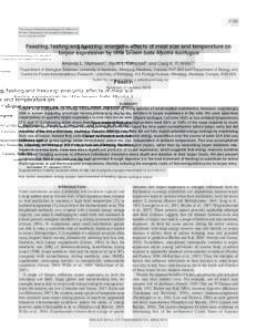 2165 The Journal of Experimental Biology 213,  © 2010. Published by The Company of Biologists Ltd doi:jebFeasting, fasting and freezing: energetic effects of meal size and temperature on