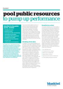 Factsheet  pool public resources to pump up performance blueKiwi in the public sector… in brief