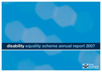 Disability Equality Scheme Annual Report 2007