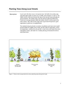 Planting Trees Along Local Streets Description Local roads offer three areas to incorporate trees: the buffer, the median strip, and landscaped islands in cul-de-sacs or traffic circles (Figures 41 and 42). The buffer co