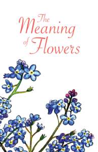 Meaning Meaning of Flowers of Flowers