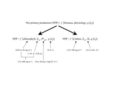 Net primary production (NPP) = f [biomass, physiology, g (I0)]  NPP = f [chlorophyll, Zeu, Pbopt, g (I0)] {0 to 1}
