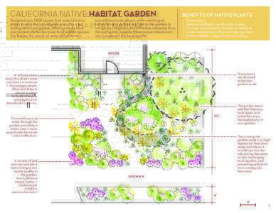 CALIFORNIA NATIVE HABITAT GARDEN Designed as a 1000 square foot oasis of native plants local to the Los Angeles area, this is an ecological dream garden, offering ample food sources and shelter for many local wildlife sp