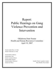 Microsoft Word - gang violence public hearings report.doc