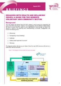 AugustENGAGING WITH HEALTH AND WELLBEING ISSUES: A GUIDE FOR THE WOMEN’S VOLUNTARY AND COMMUNITY SECTOR Background
