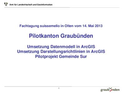 Amt für Landwirtschaft und Geoinformation  Fachtagung suissemelio in Olten vom 14. Mai 2013 Pilotkanton Graubünden Umsetzung Datenmodell in ArcGIS