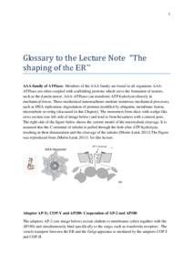 1  Glossary to the Lecture Note “The shaping of the ER” AAA-family of ATPases: Members of the AAA family are found in all organisms AAAATPases are often coupled with scaffolding proteins which serve the formation of 