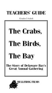 The Crabs, The Birds, The Bay